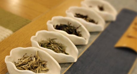 Tea Samples Tea Samples