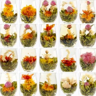 20 Unique Varieties of Fresh Blooming Tea Flowers | Bustan.store