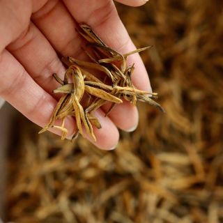 Golden Bud Dianhong Black Tea