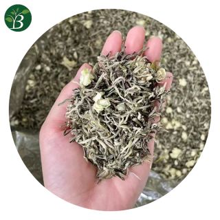 Wholesale 500g Jasmine Snow Bud Green Tea | Bustan.store