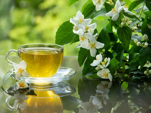 Jasmine Tea
